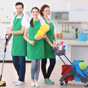 Professional Cleaners